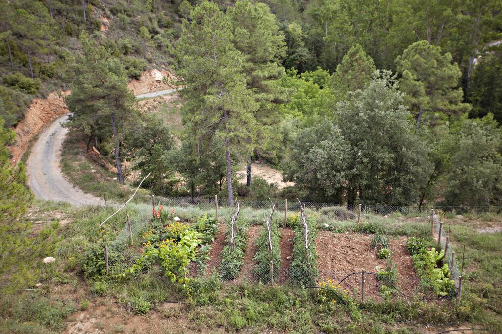 Masia Ca L'Anima Hotel La Baronia de Rialb ห้อง รูปภาพ