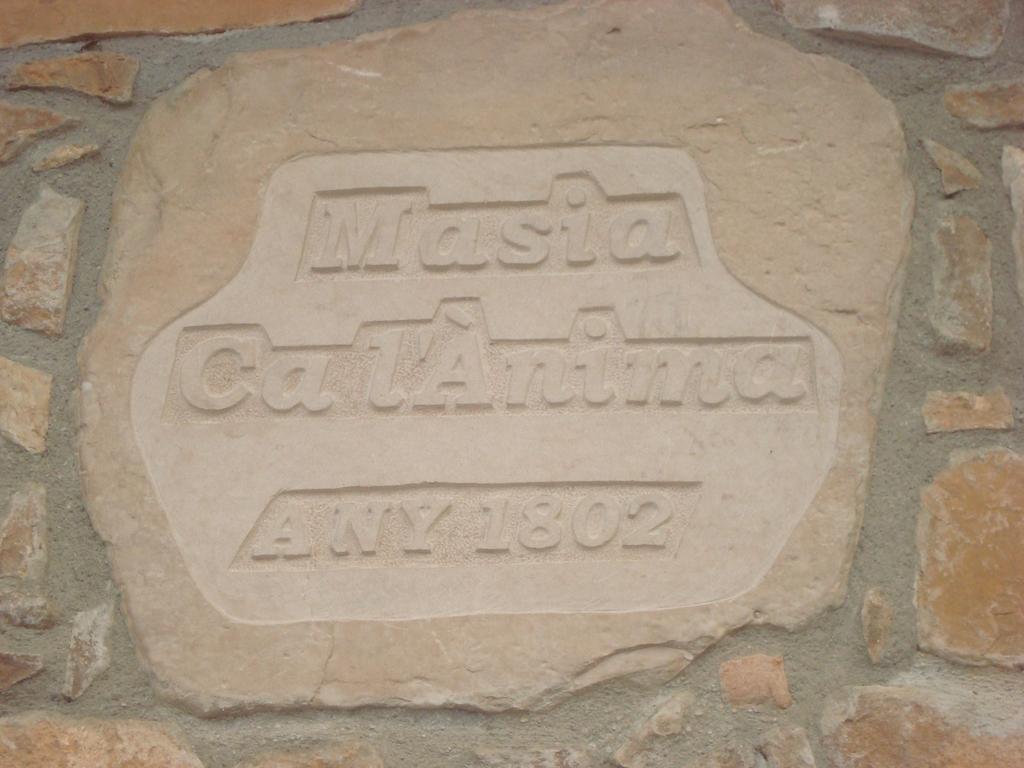 Masia Ca L'Anima Hotel La Baronia de Rialb ห้อง รูปภาพ